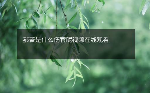 郝蕾是什么傷官呢視頻在線觀看