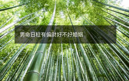 男命日柱有偏財(cái)好不好婚姻