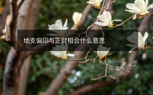 地支偏印與正財(cái)相合什么意思