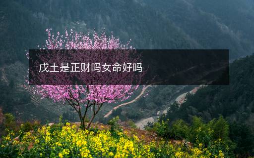 戊土是正財嗎女命好嗎