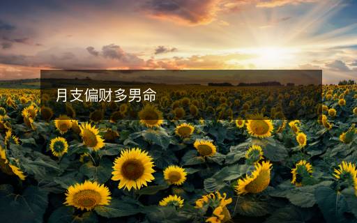月支偏財多男命