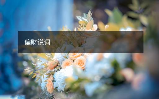 偏財(cái)說詞
