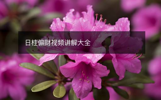 日柱偏財視頻講解大全