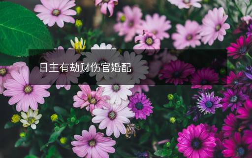 日主有劫財(cái)傷官婚配