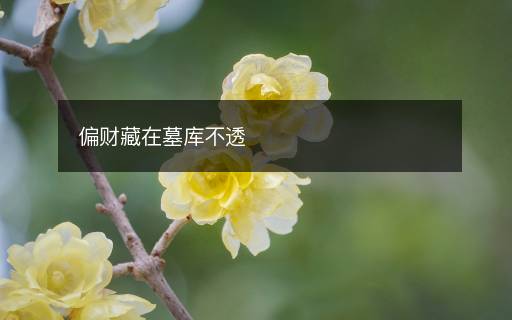 偏財(cái)藏在墓庫(kù)不透