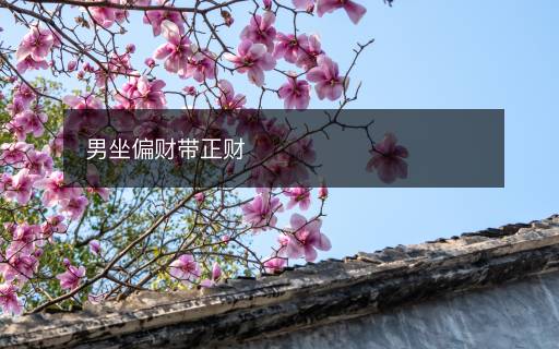 男坐偏財(cái)帶正財(cái)