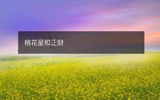 桃花星和正財
