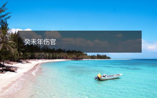 癸未年傷官