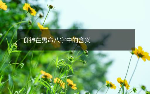 食神在男命八字中的含義