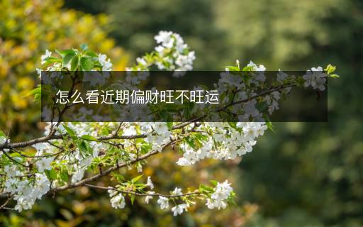 怎么看近期偏財旺不旺運