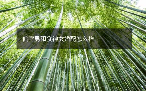 偏官男和食神女婚配怎么樣