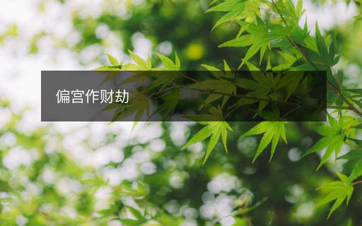 偏宮作財劫