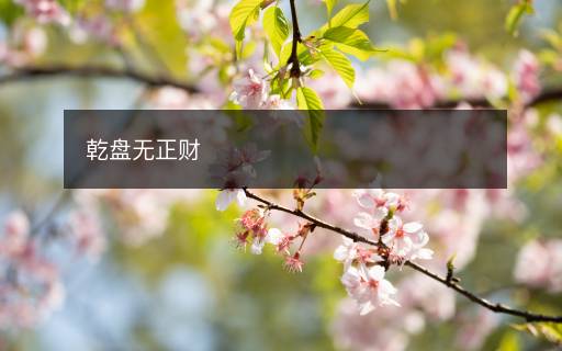 乾盤無正財