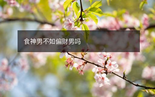 食神男不如偏財男嗎