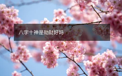 八字十神是劫財(cái)好嗎