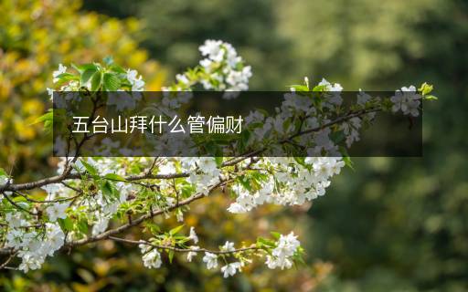 五臺山拜什么管偏財(cái)