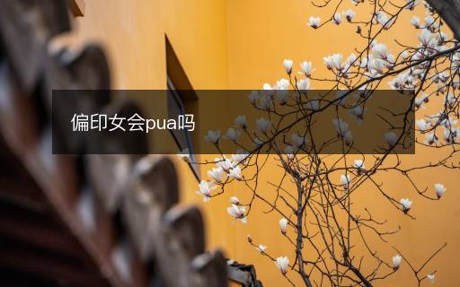 偏印女會pua嗎