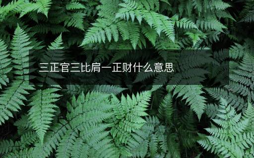 三正官三比肩一正財(cái)什么意思