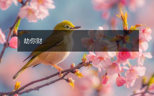 劫你財