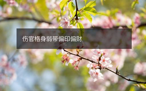 傷官格身弱帶偏印偏財