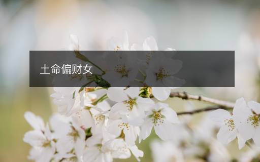 土命偏財女