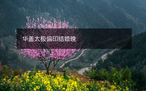 華蓋太極偏印結(jié)婚晚