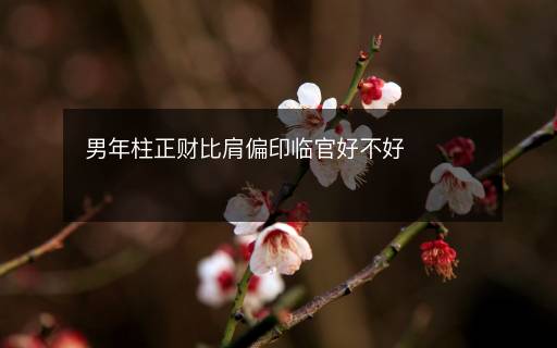 男年柱正財比肩偏印臨官好不好