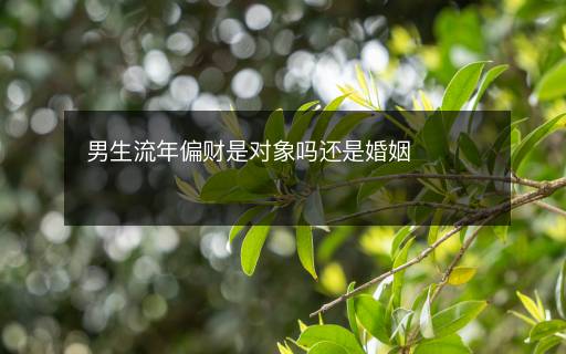男生流年偏財是對象嗎還是婚姻