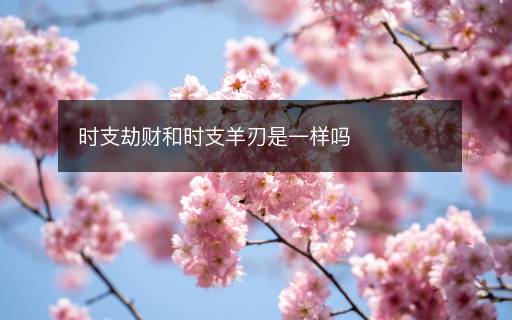 時(shí)支劫財(cái)和時(shí)支羊刃是一樣嗎