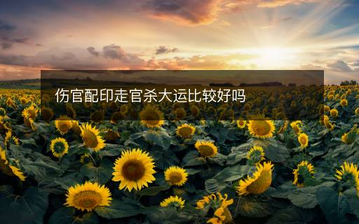 傷官配印走官殺大運(yùn)比較好嗎