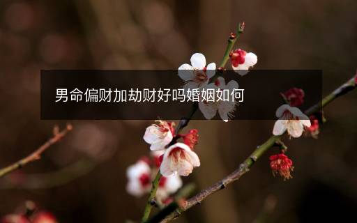 男命偏財加劫財好嗎婚姻如何