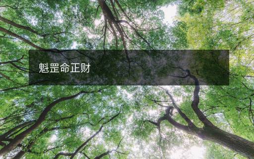 魁罡命正財(cái)
