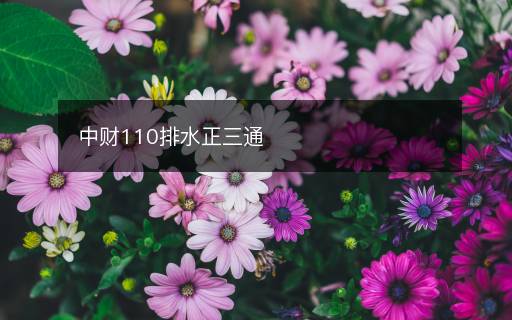 中財(cái)110排水正三通