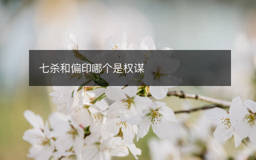 七殺和偏印哪個是權謀