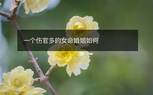 一個傷官多的女命婚姻如何