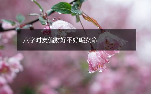 八字時(shí)支偏財(cái)好不好呢女命