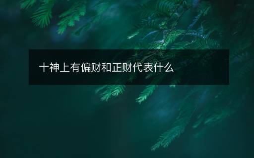 十神上有偏財(cái)和正財(cái)代表什么
