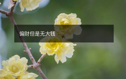 偏財(cái)?shù)菬o大錢