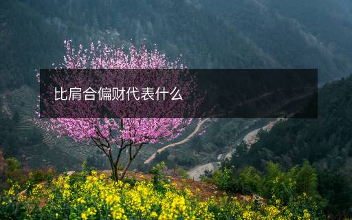 比肩合偏財(cái)代表什么
