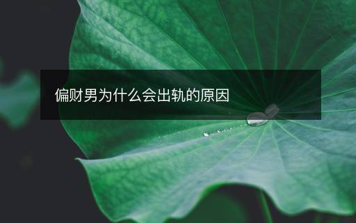 偏財(cái)男為什么會(huì)出軌的原因
