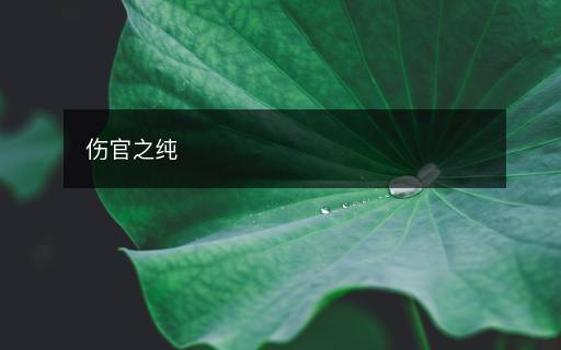 傷官之純