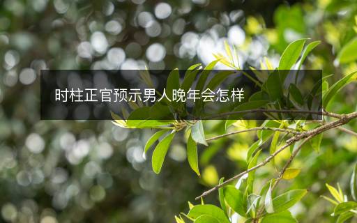 時(shí)柱正官預(yù)示男人晚年會(huì)怎樣