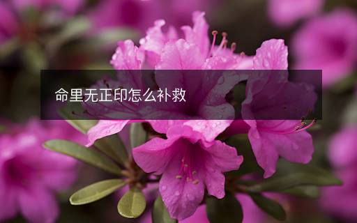 命里無正印怎么補救