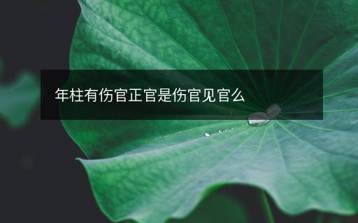 年柱有傷官正官是傷官見官么