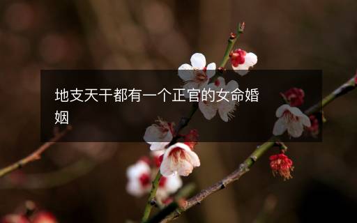 地支天干都有一個正官的女命婚姻