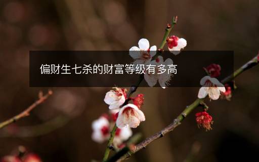 偏財生七殺的財富等級有多高
