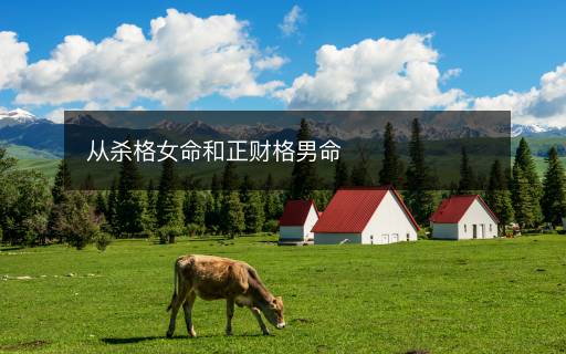 從殺格女命和正財(cái)格男命