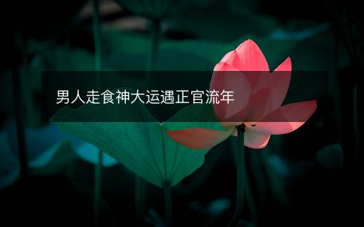 男人走食神大運遇正官流年