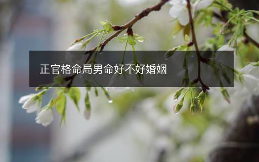 正官格命局男命好不好婚姻
