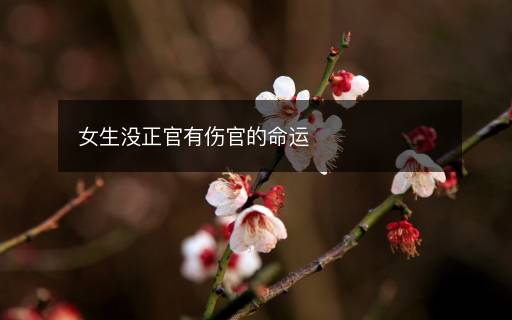 女生沒正官有傷官的命運(yùn)